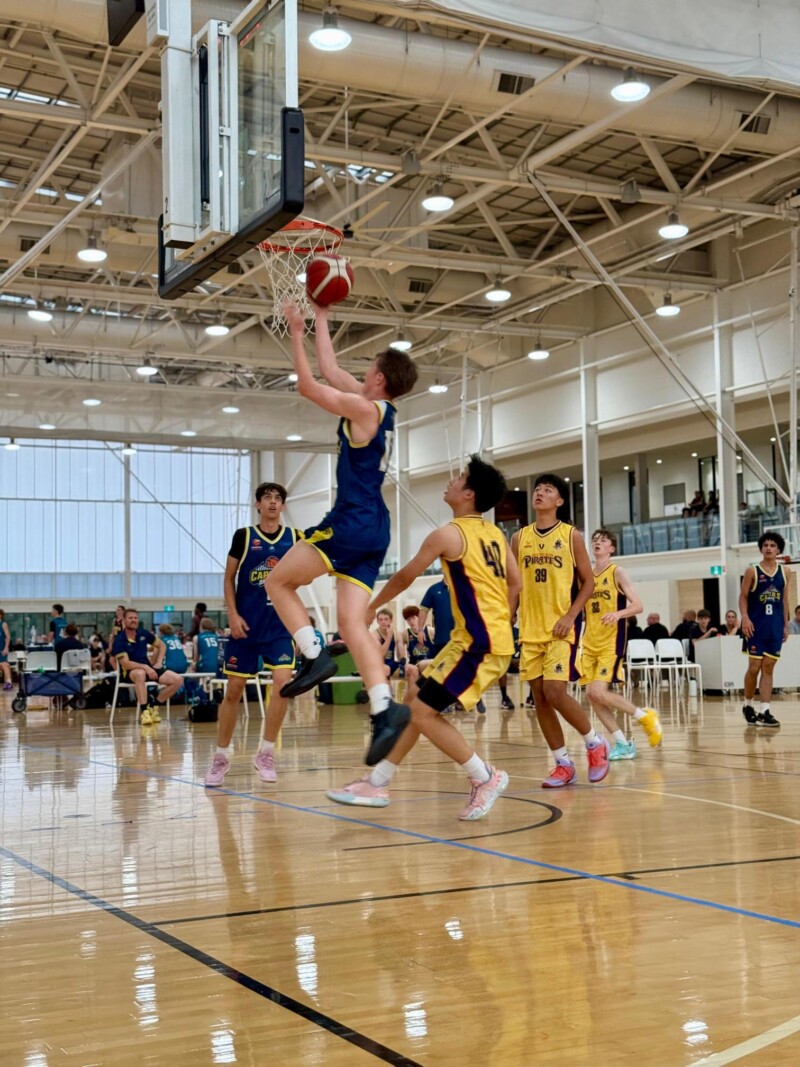 hunter-attacks-basket-2-20251109